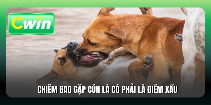 Chiêm bao gặp cún là có phải là điềm xấu