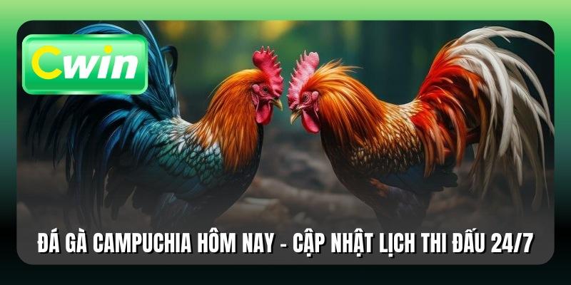 Đá Gà Campuchia Hôm Nay - Cập Nhật Lịch Thi Đấu 24/7