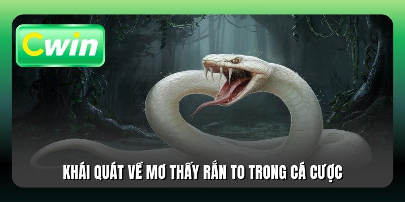 Khái quát về mơ thấy rắn to trong cá cược