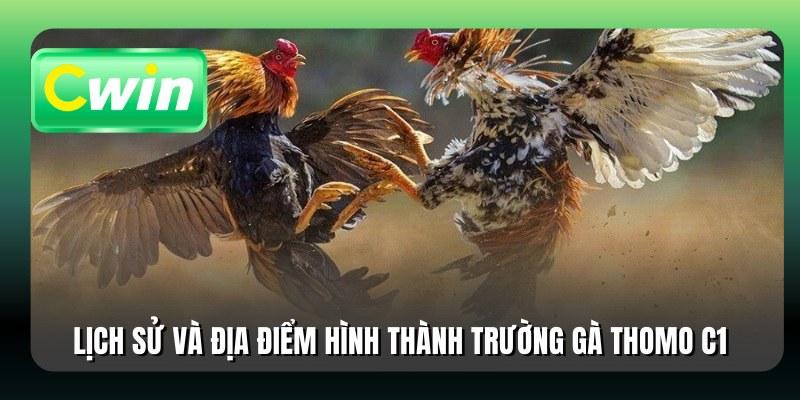 Lịch sử và địa điểm hình thành trường gà Thomo C1