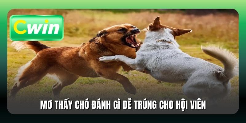 Mơ thấy chó đánh gì dễ trúng cho hội viên