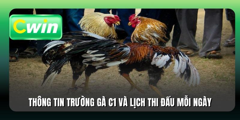Thông tin trường gà C1 và lịch thi đấu mỗi ngày