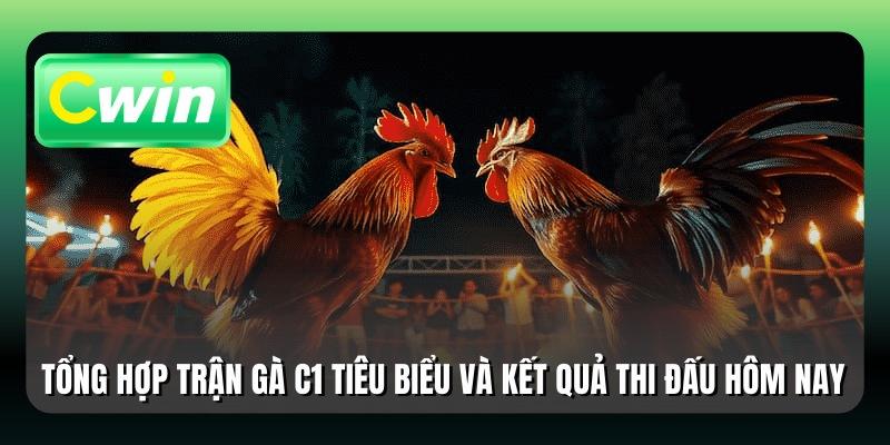 Tổng hợp trận gà C1 tiêu biểu và kết quả thi đấu hôm nay