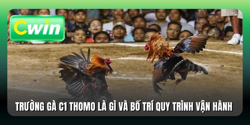 Trường gà C1 Thomo là gì và bố trí quy trình vận hành 